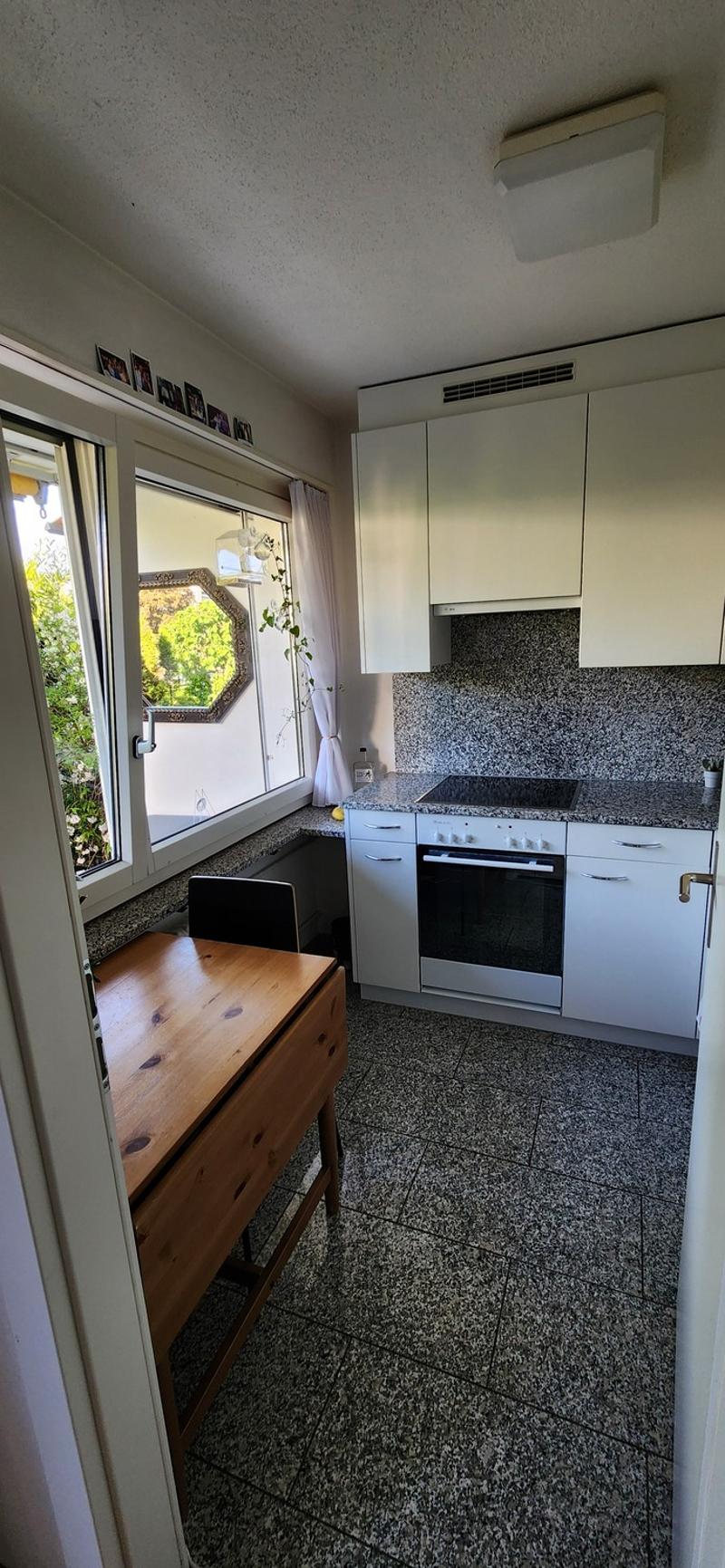 Bright 1.5-room studio with 20m² private garden in Urdorf (01 Sept-01 Oct) (4)