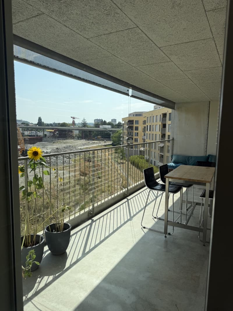 Wohnung in Bern (6)