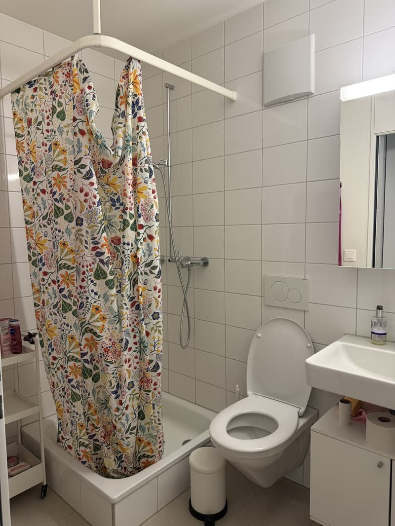 Wohnung in Bern (4)