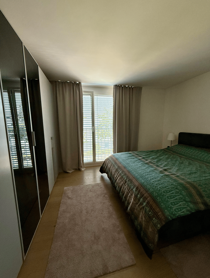 Beautiful 4.5-room apartment near Lake Pfäffikon (6)