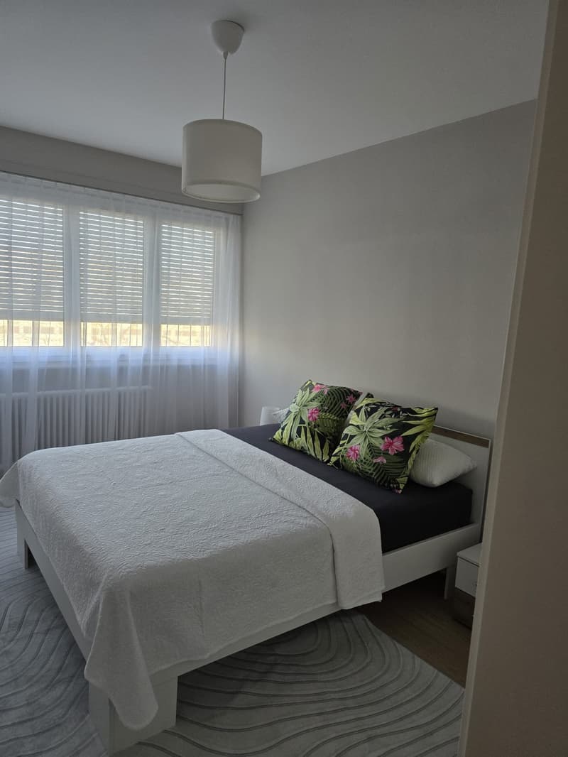 3 rooms apartment, 1217 Meyrin (6)