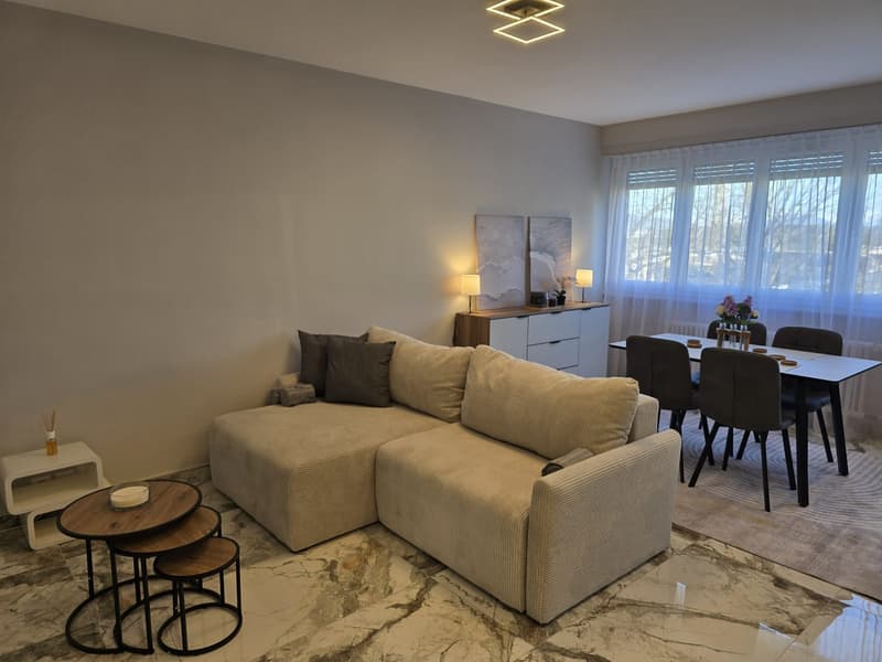 3 rooms apartment, 1217 Meyrin (2)