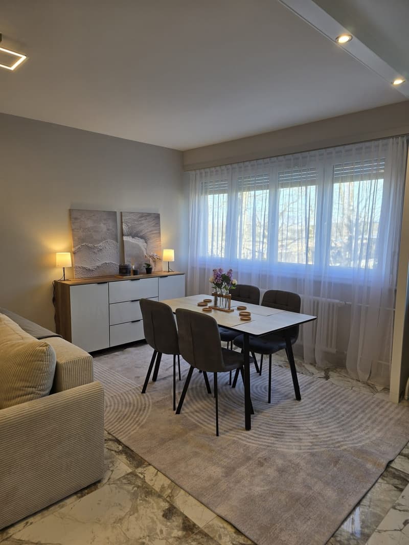 3 rooms apartment, 1217 Meyrin (7)