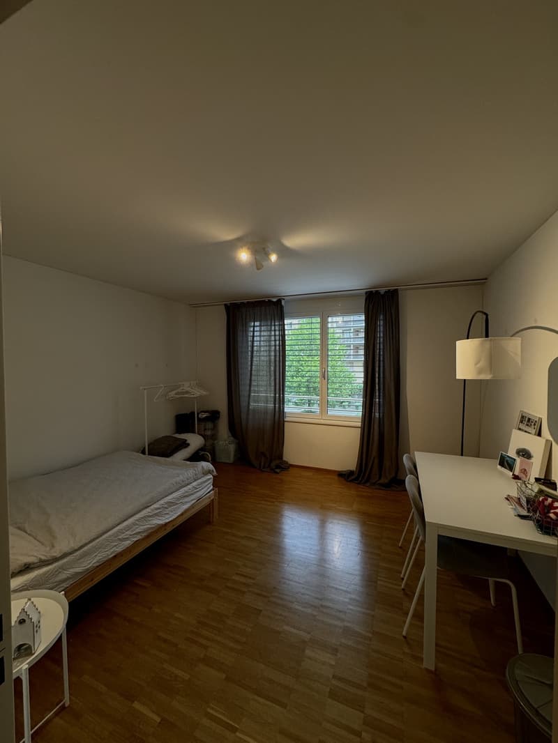 Chambre à louer en colocation (3)