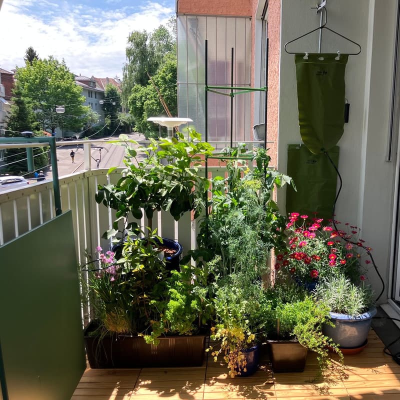 Bright, cozy 3.5-room apartment for sublet in the Mattenhof quarter (09/01-12/31 - Possibly extendable) (9)