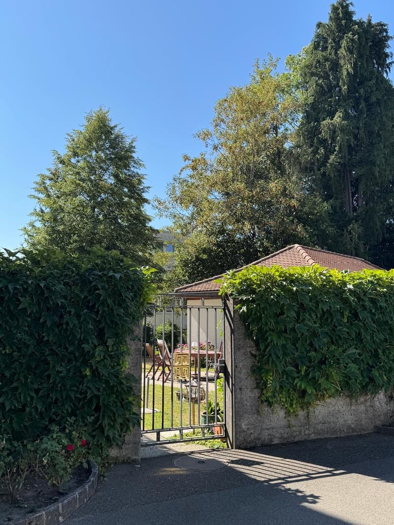 Appartamento 2 locali in una villa storica affascinante con giardino a Wittenbach - Coinquilino: (7)