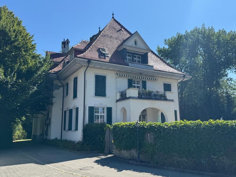 Appartamento 2 locali in una villa storica affascinante con giardino a Wittenbach - Coinquilino: (9)