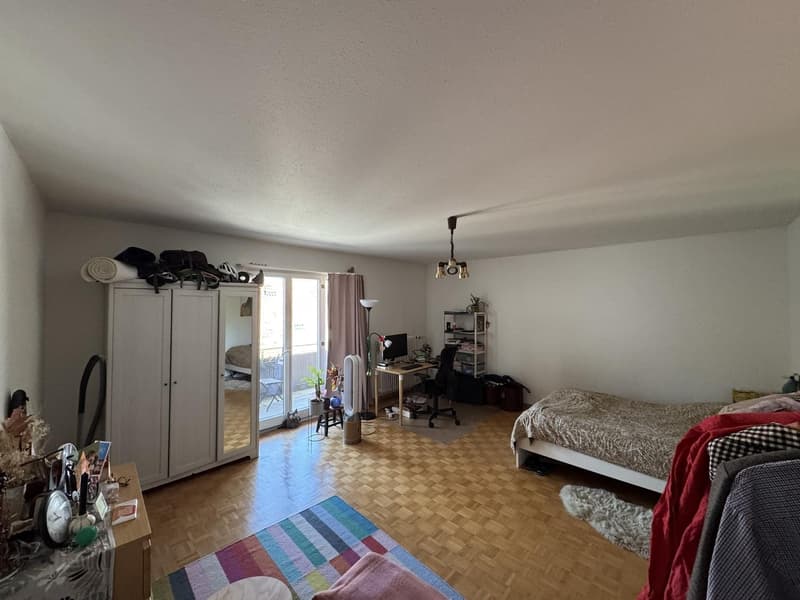 Appartamento 1.5 locali vicino al Reno e al centro storico (4)