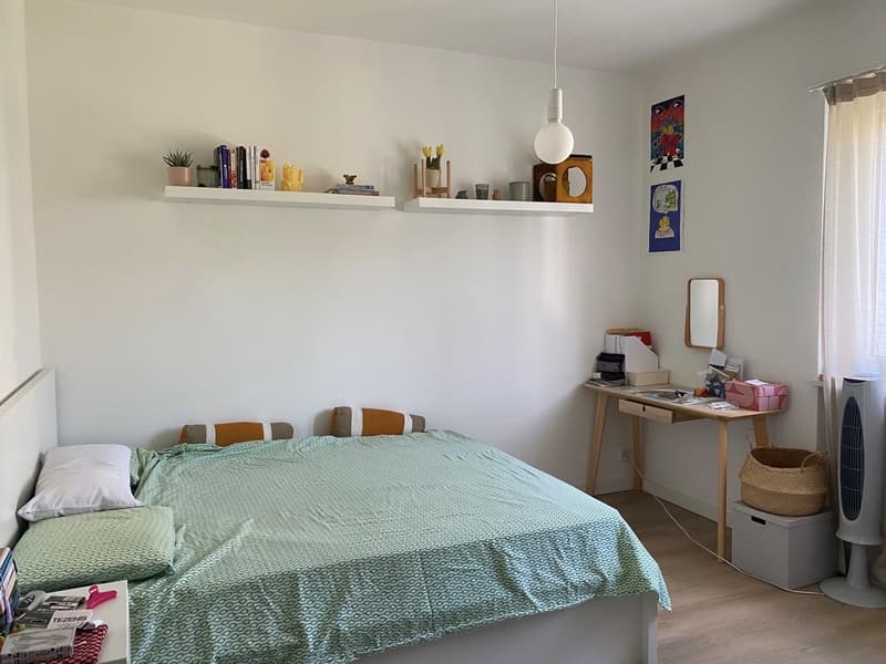 Roommate wanted (2)