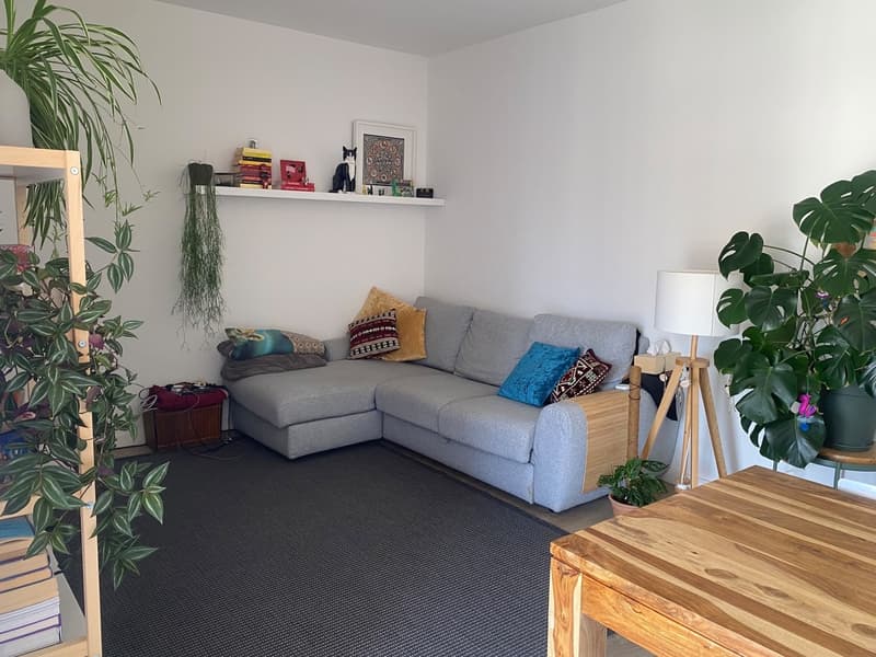 Roommate wanted (1)