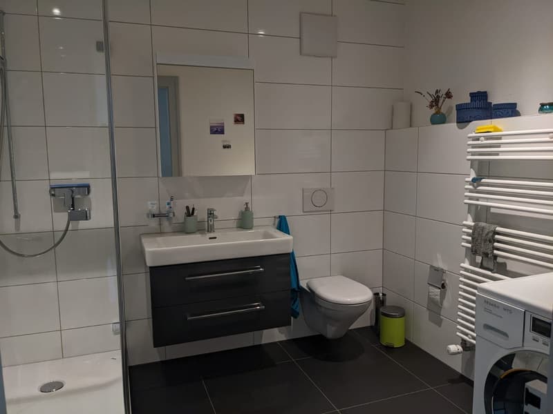 Temporary 3-room apartment for sublet (6)