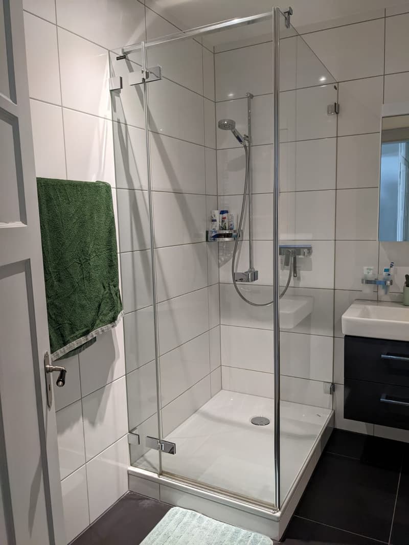 Temporary 3-room apartment for sublet (7)