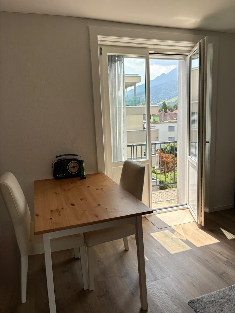 Moderne Singlewohnung (2)