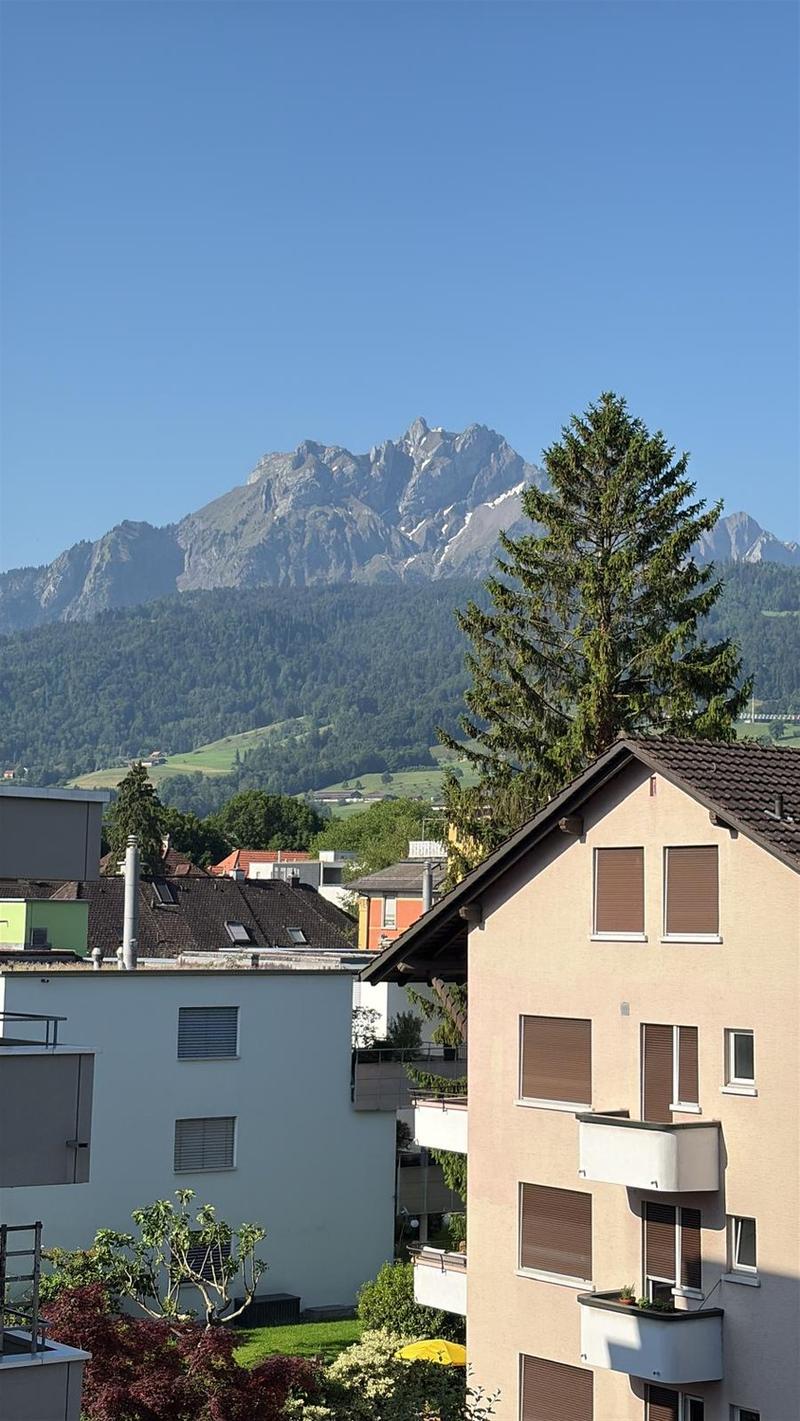 Moderne Singlewohnung (3)