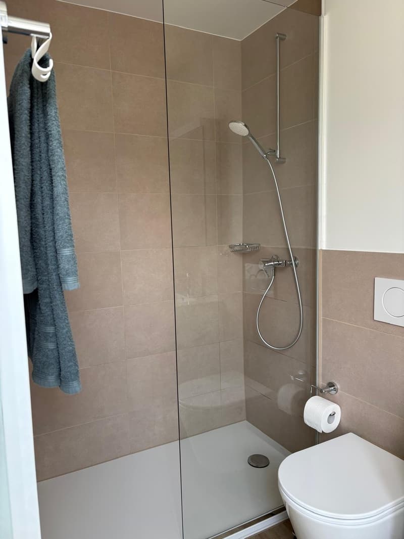 Moderne Singlewohnung (6)