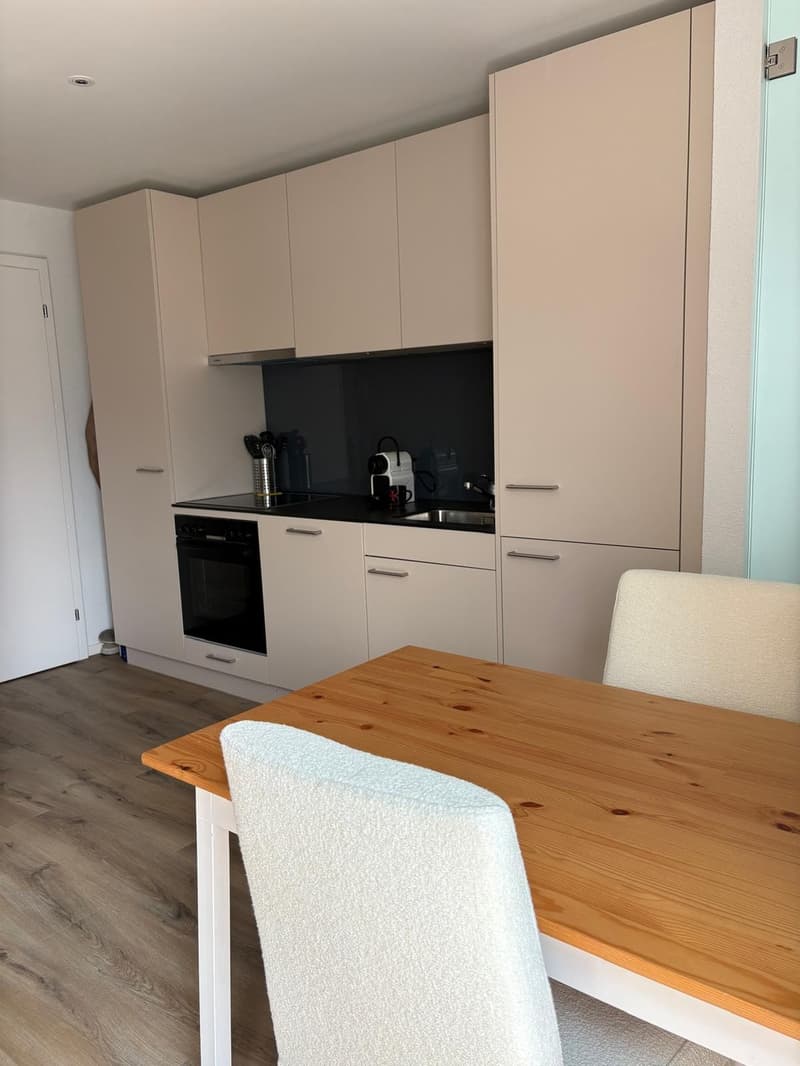 Moderne Singlewohnung (4)