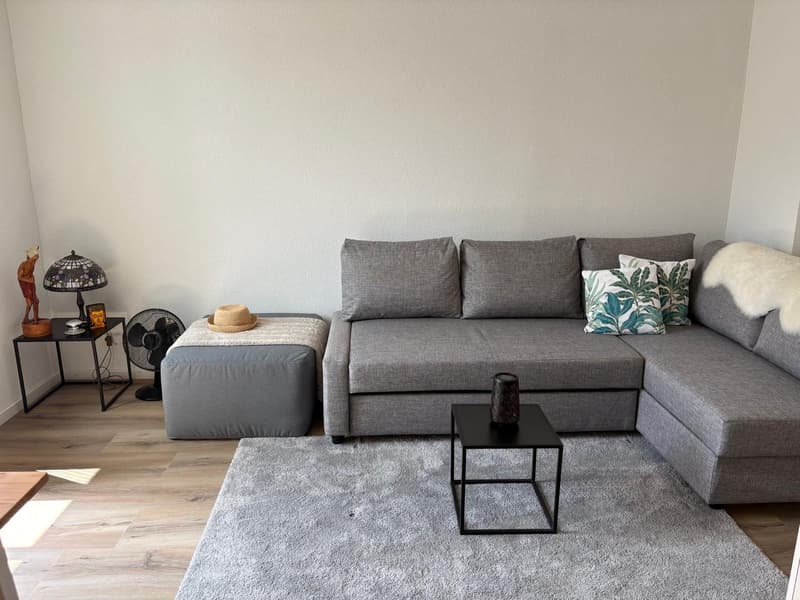 Moderne Singlewohnung (1)