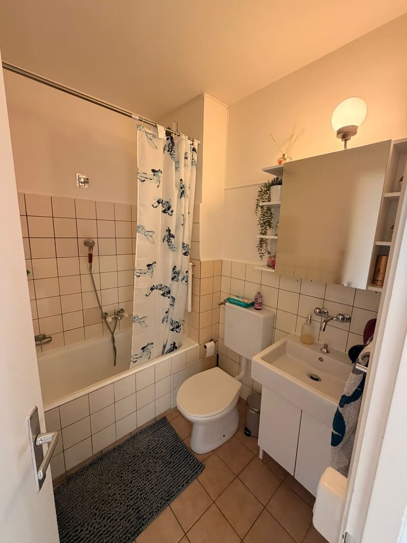 Charming 3-room apartment in Grand-Saconnex, available from September 2026. (5)