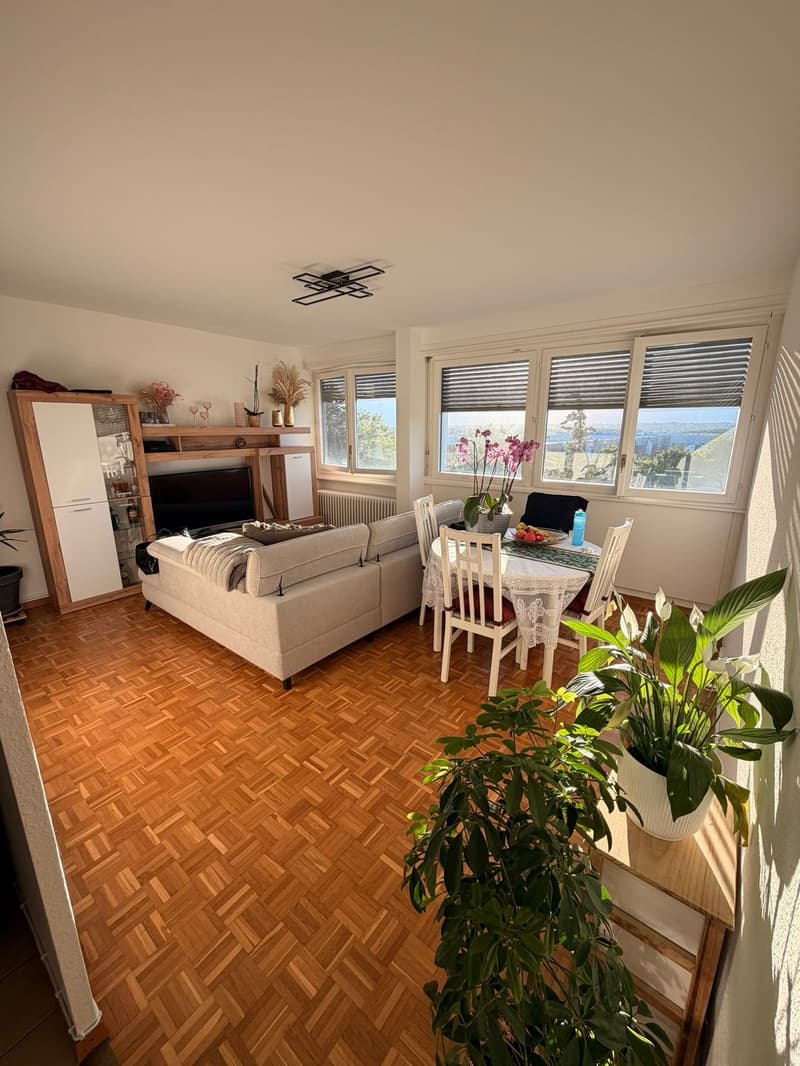 Charming 3-room apartment in Grand-Saconnex, available from September 2026. (1)