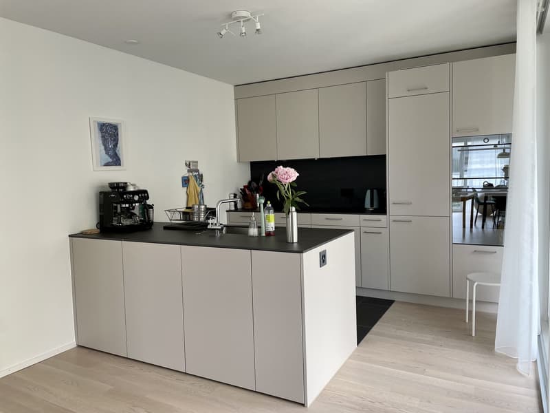 Appartement moderne, entièrement équipé de 2,5 pièces à Zurich (2)