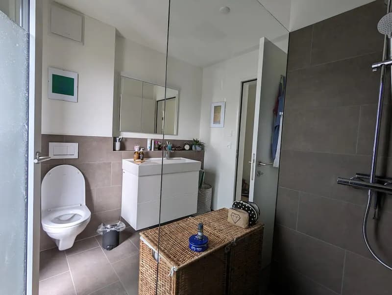 Appartement moderne, entièrement équipé de 2,5 pièces à Zurich (6)