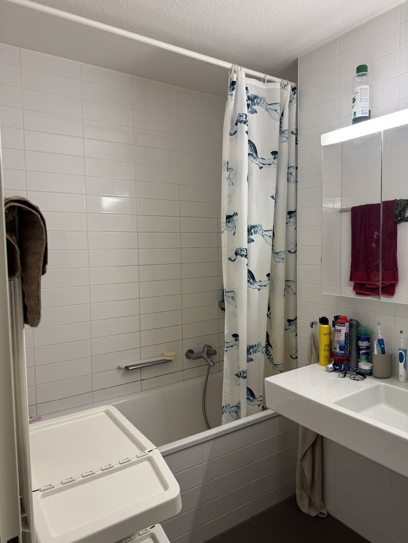 Chambre en colocation à Volketswil (8)