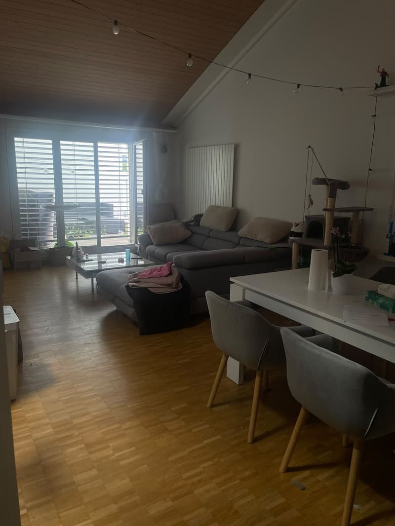 Chambre en colocation à Volketswil (7)