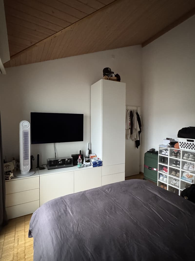 Chambre en colocation à Volketswil (2)