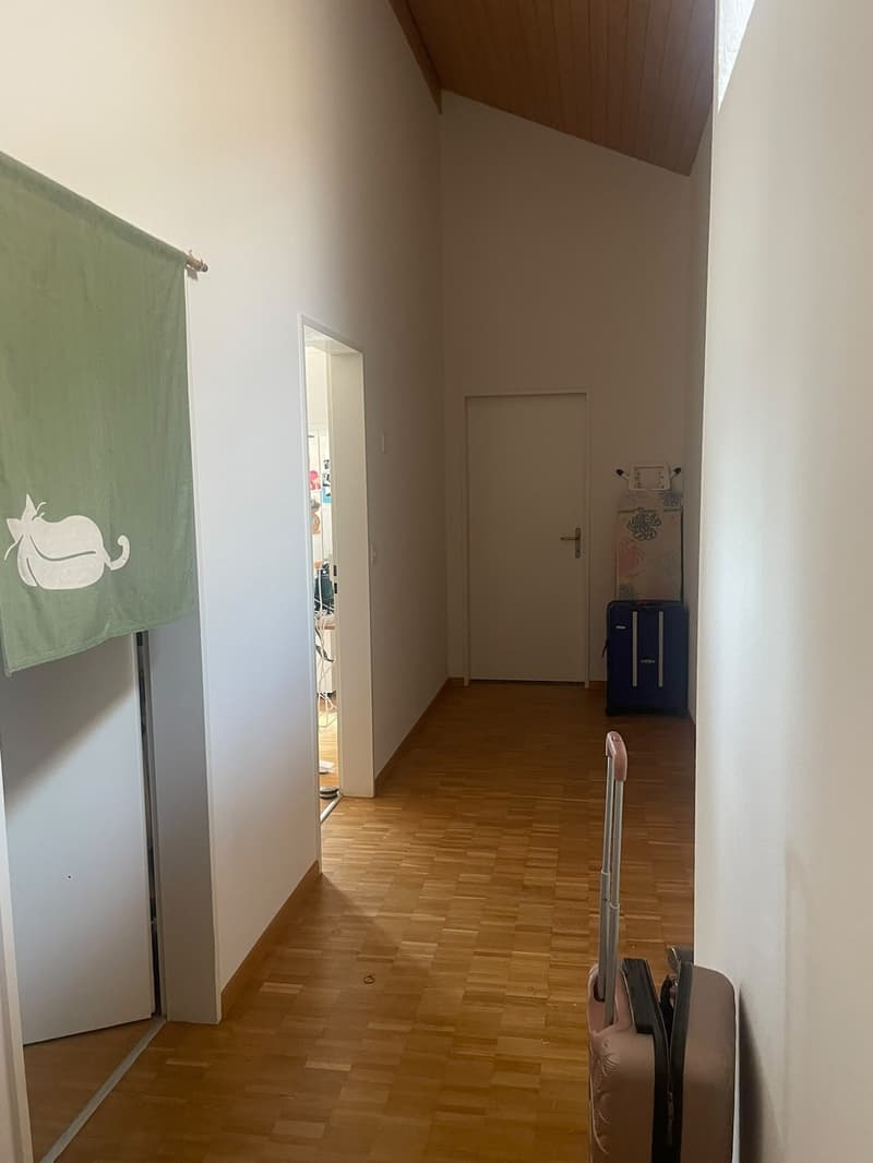 Chambre en colocation à Volketswil (6)