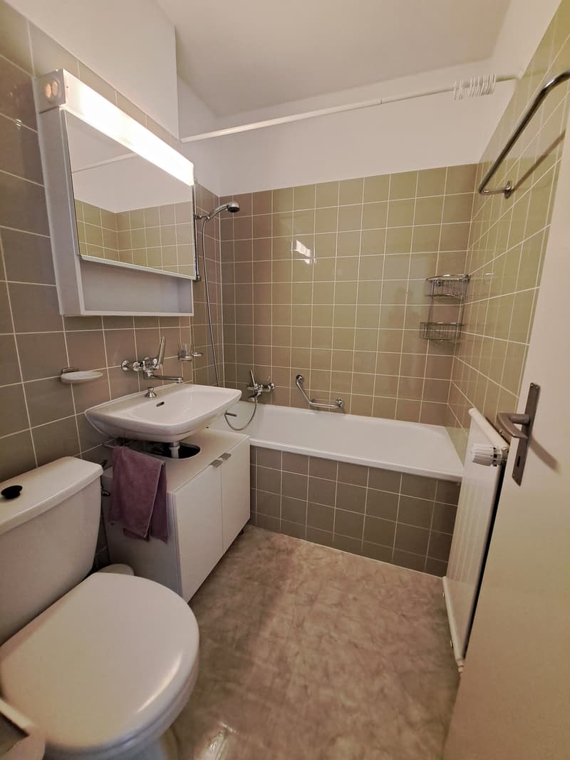 Furnished 1-room apartment in 3006 Bern (5)