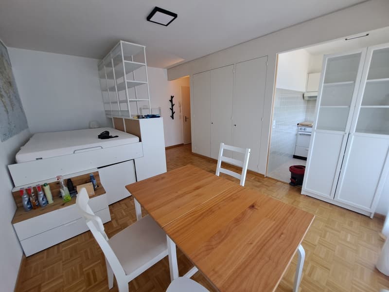 Furnished 1-room apartment in 3006 Bern (1)