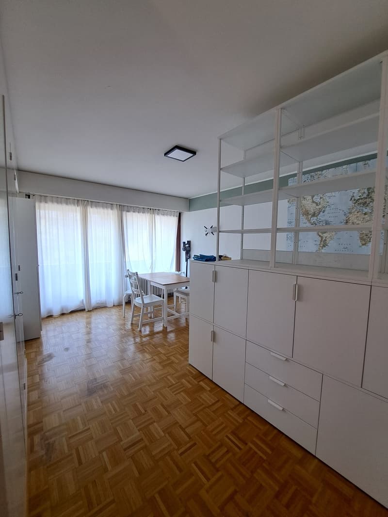 Furnished 1-room apartment in 3006 Bern (2)