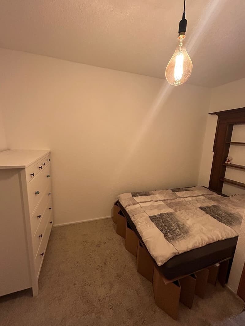 Room in shared apartment for rent for the months of Sept. & Oct. (3)
