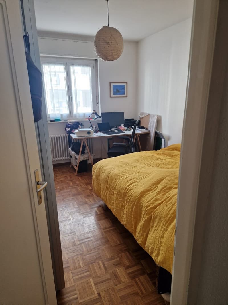 3-Zimmer-Wohnung - Pâquis nahe dem See (2)