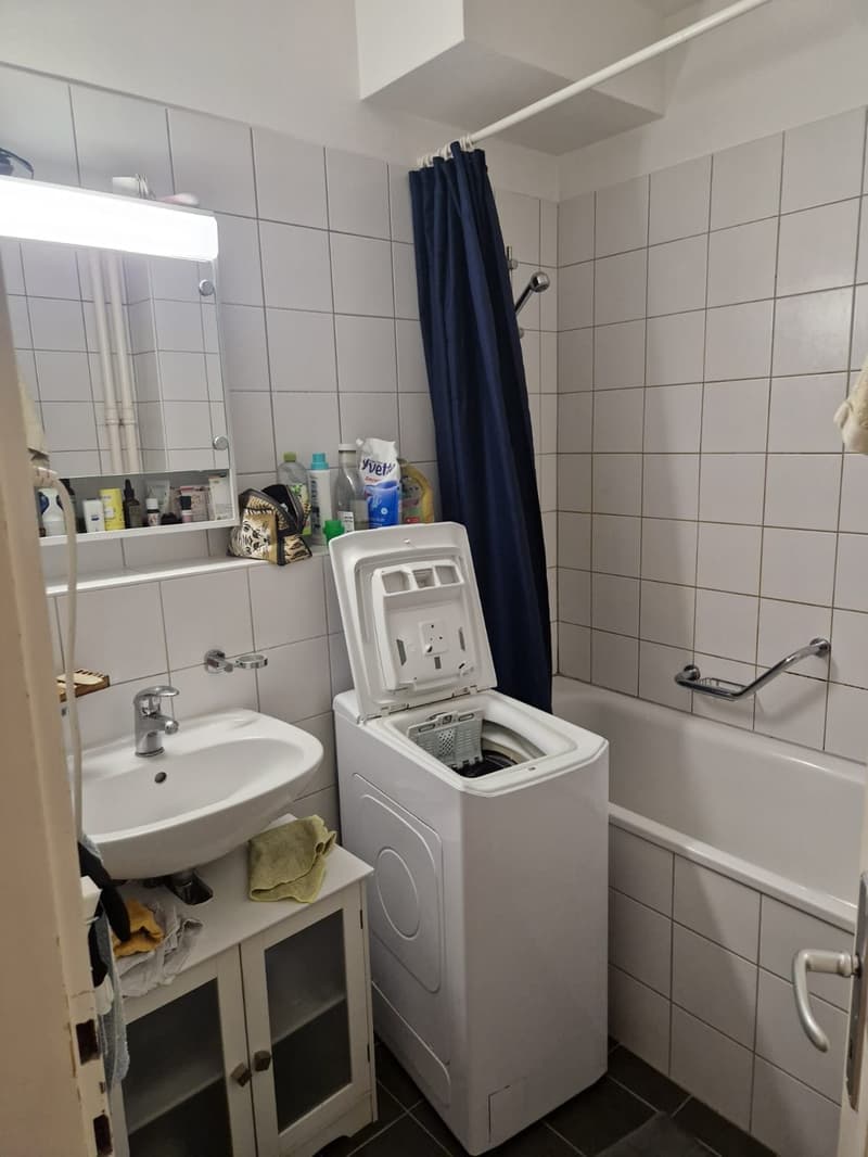 3-Zimmer-Wohnung - Pâquis nahe dem See (3)