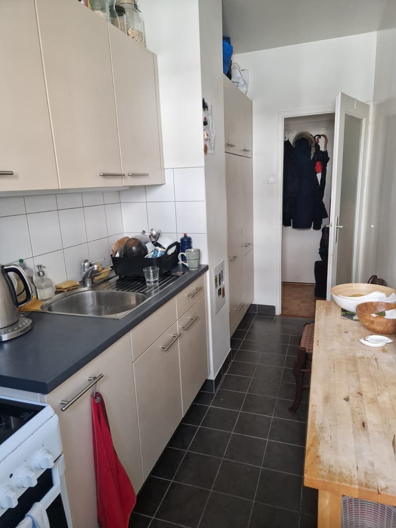 3-Zimmer-Wohnung - Pâquis nahe dem See (4)