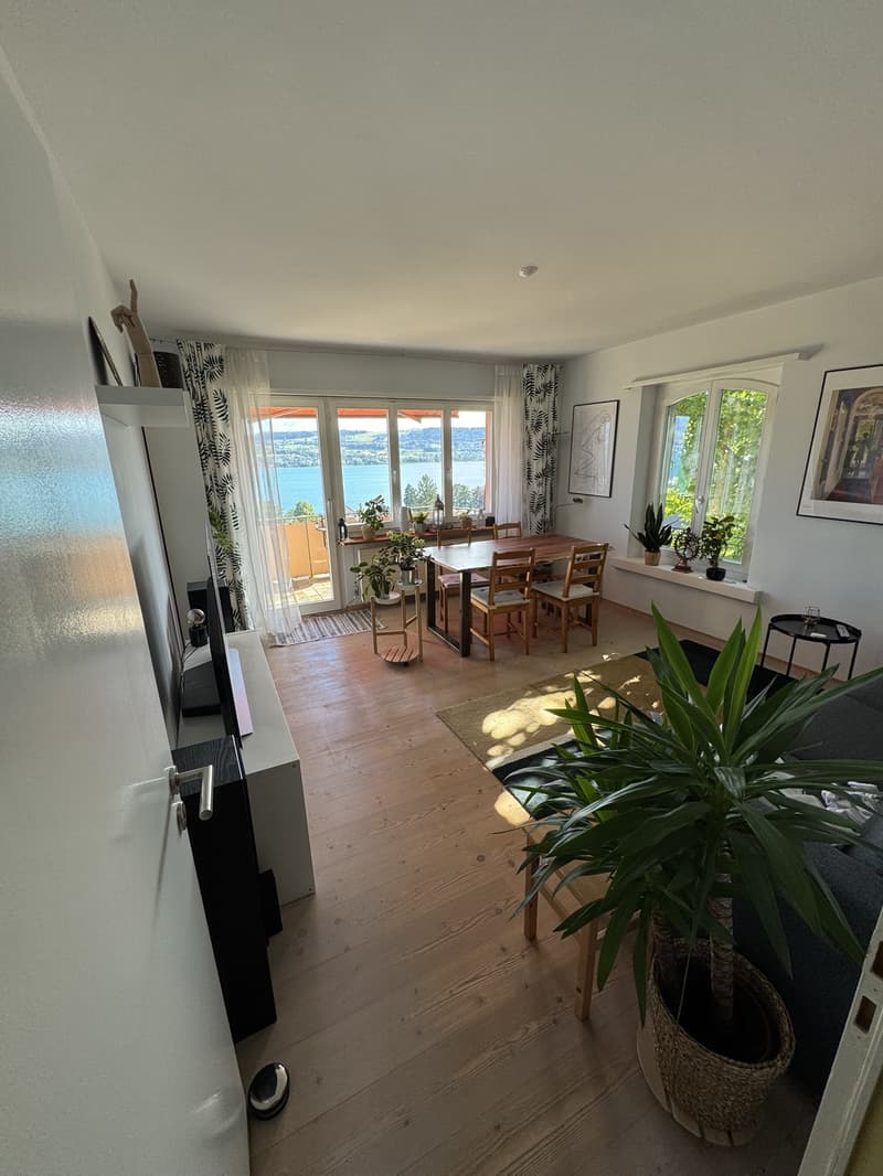 Bright room with lake view in 3-room apartment in Meilen (2)