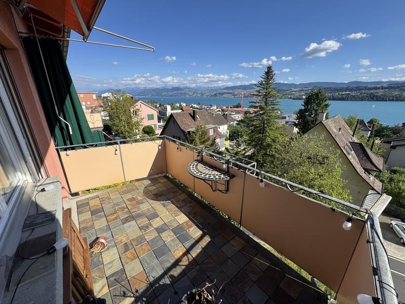 Bright room with lake view in 3-room apartment in Meilen (3)