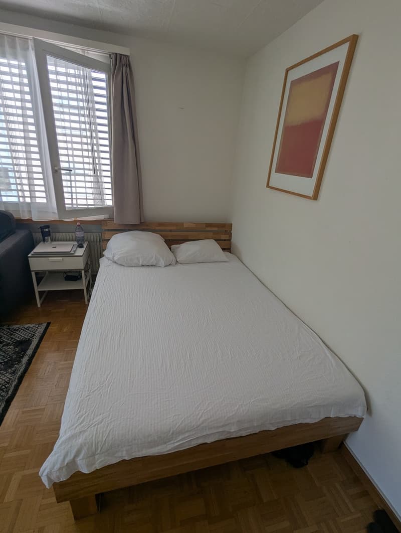 Big double bedroom with private balcony, fully furnished (Until end of January) (3)