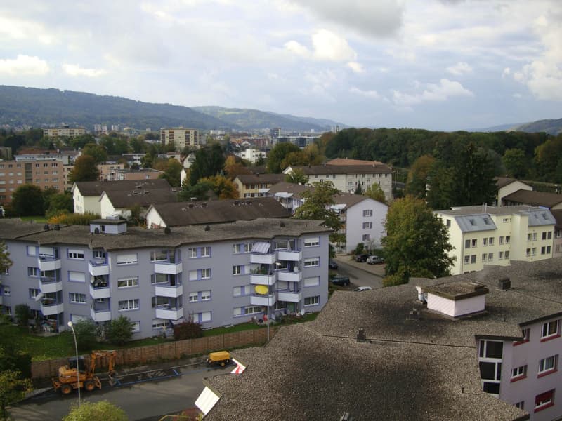 Grande chambre à coucher non-fumeur dans un appartement partagé à Dietikon (3)