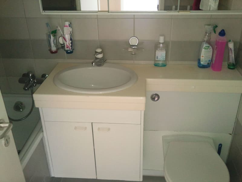 Grande chambre à coucher non-fumeur dans un appartement partagé à Dietikon (2)