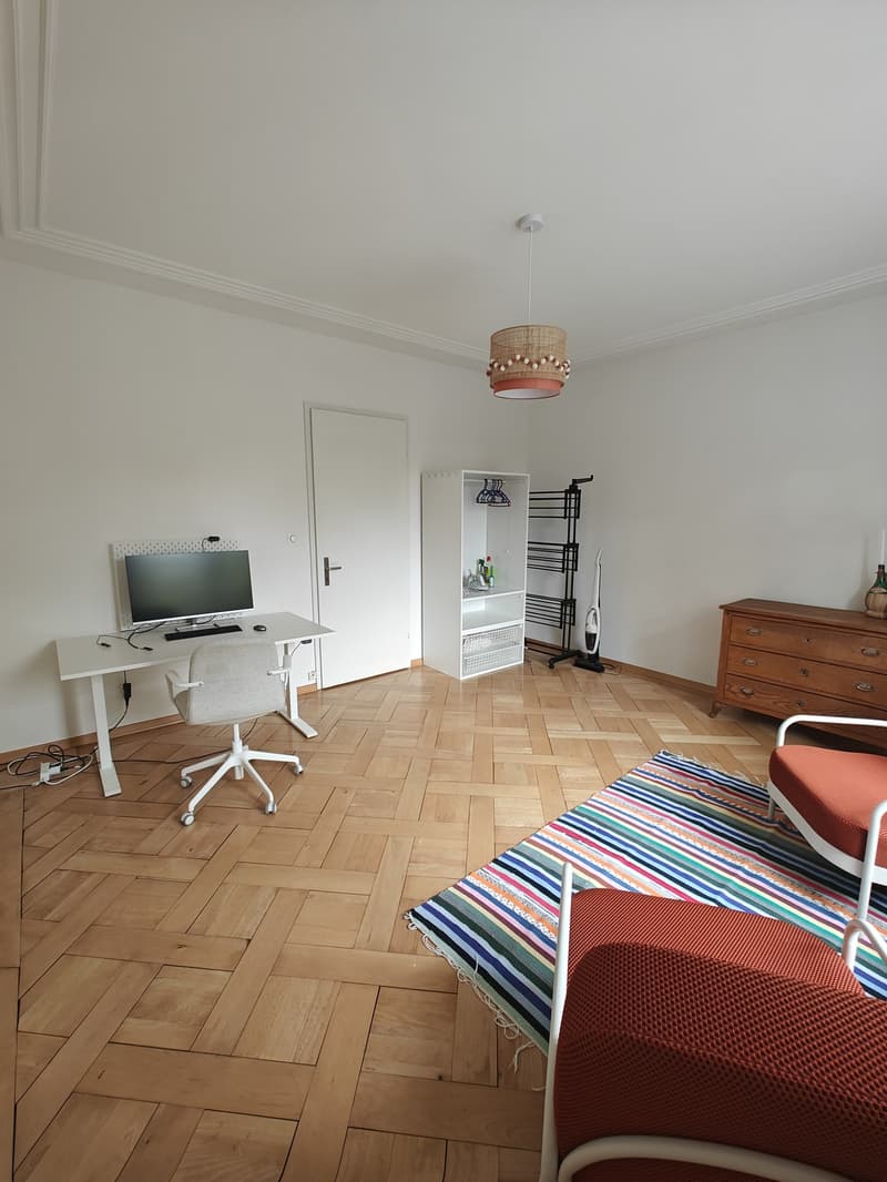 Appartement de vieux bâtiment magnifique dans un quartier tendance (2)