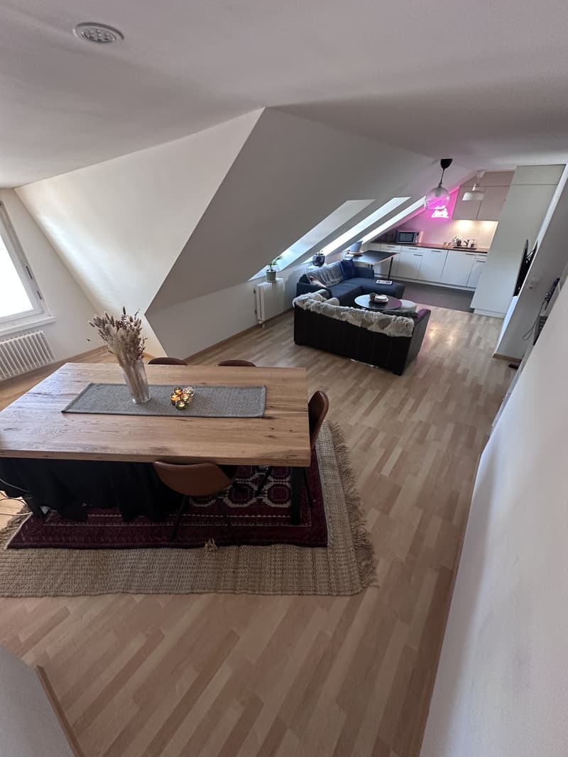 Joli appartement partagé de luxe (2 personnes au total), récemment rénové, chambre 14m (1)