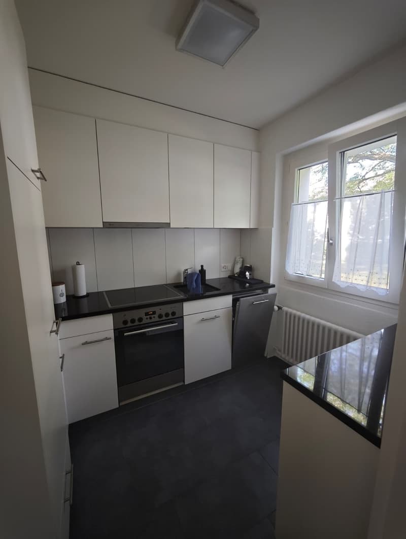 Temporary sublet of 3.5 room apartment (4)
