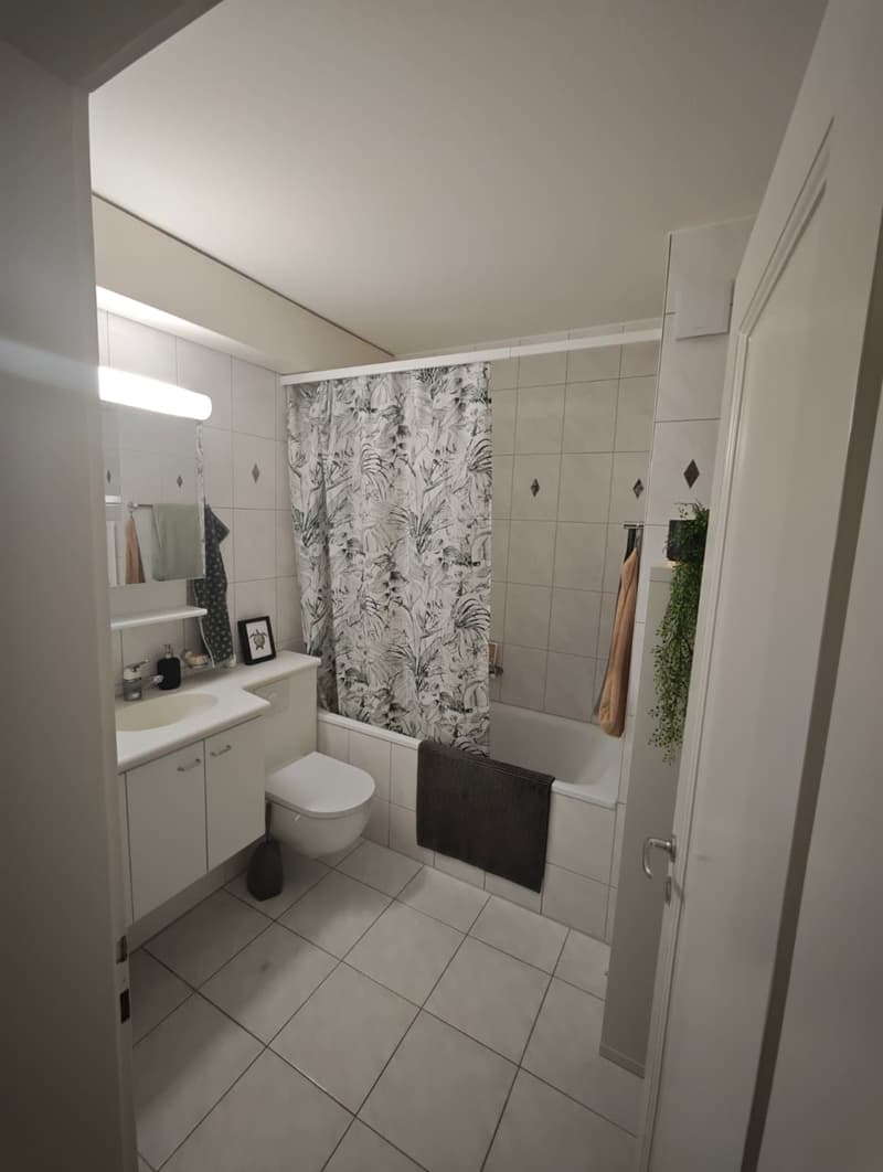 Temporary sublet of 3.5 room apartment (6)