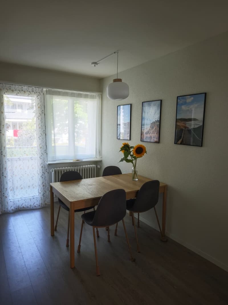 Temporary sublet of 3.5 room apartment (3)