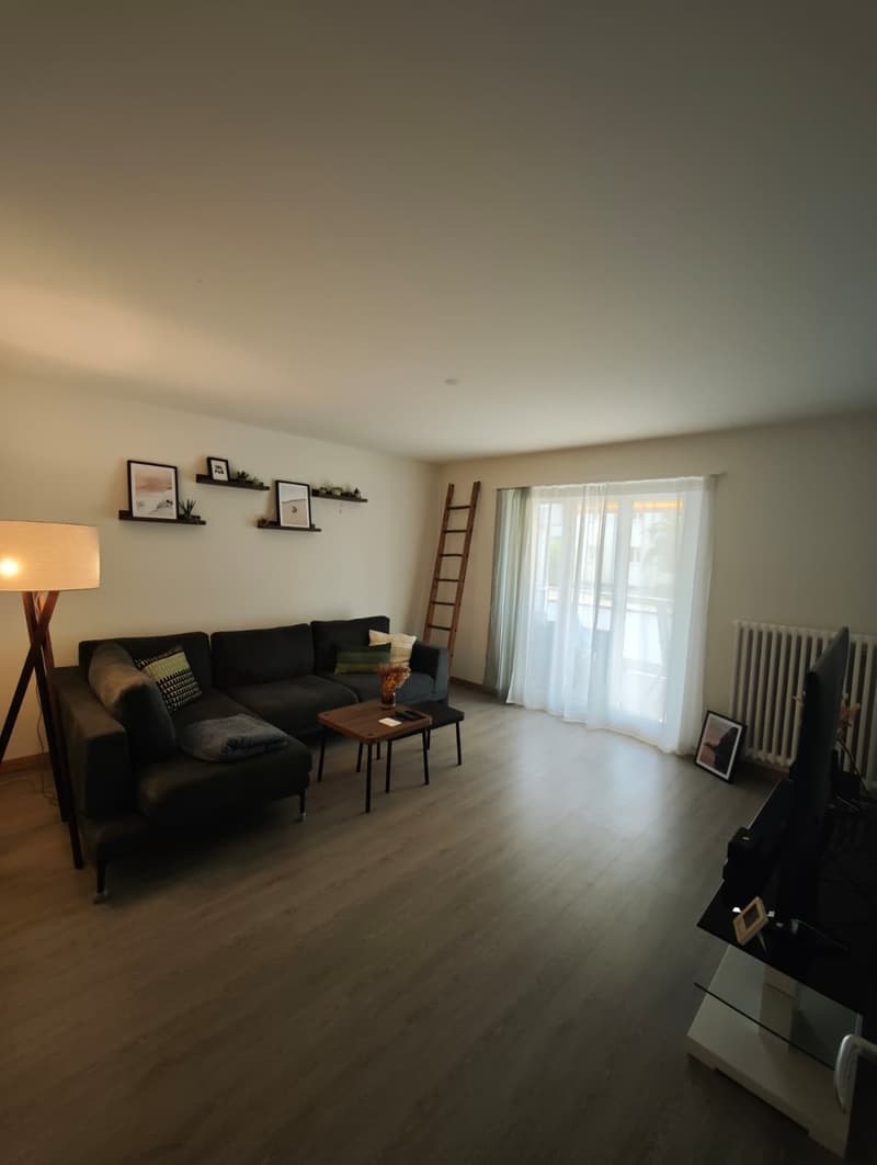 Temporary sublet of 3.5 room apartment (2)