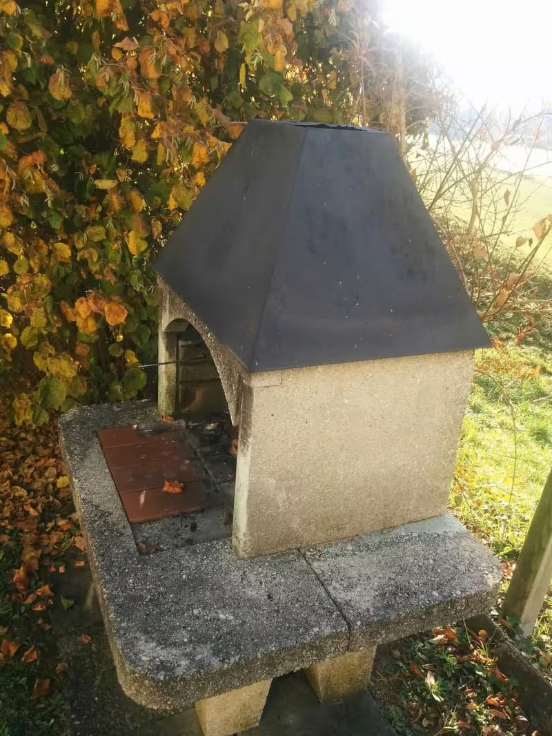 Charmant studio de 1,5 pièces avec jardin et vue sur la ville de Zurich (4)