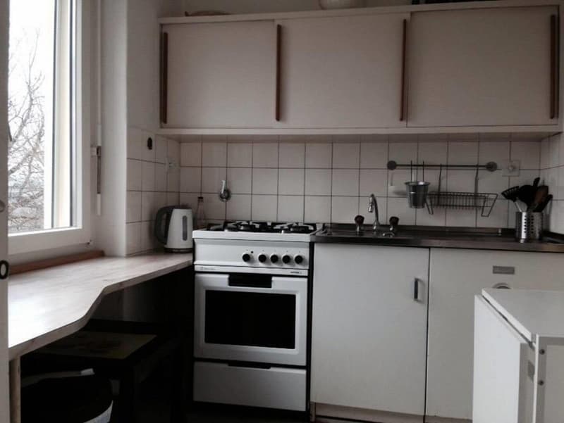 Charmant studio de 1,5 pièces avec jardin et vue sur la ville de Zurich (3)