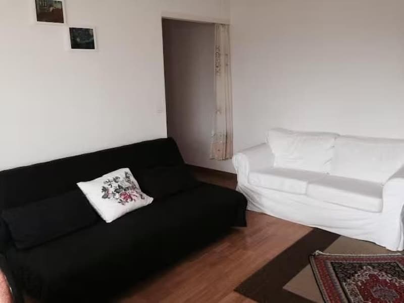Charmant studio de 1,5 pièces avec jardin et vue sur la ville de Zurich (1)